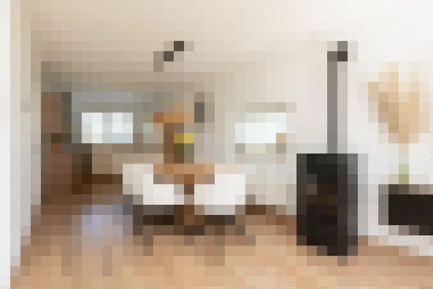 Zandoogje 16 Sneek thumbnail 8