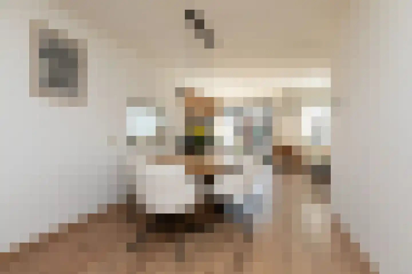 Zandoogje 16 Sneek thumbnail 9