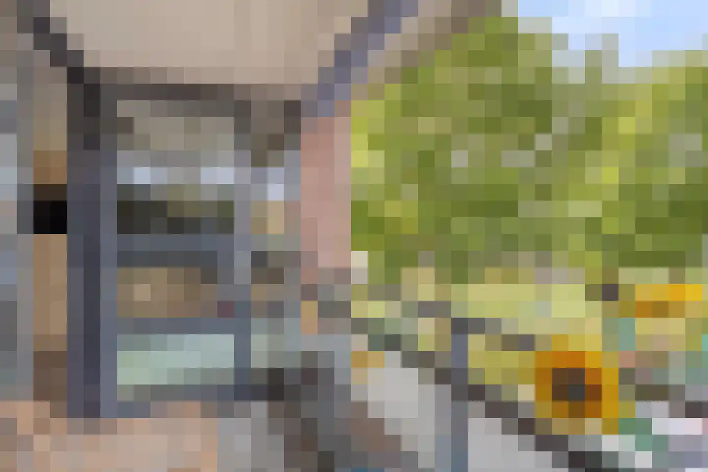 Zandoogje 4 Nijkerk thumbnail 13