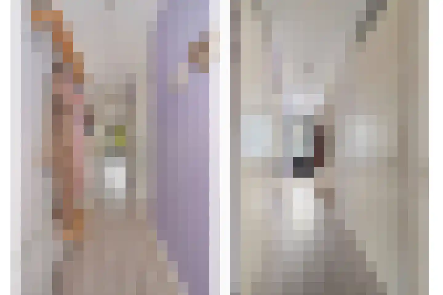 Zandoogje 4 Nijkerk thumbnail 15