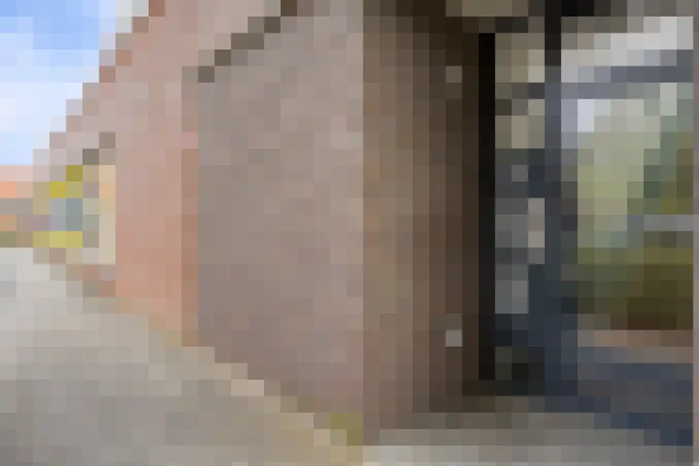 Zandoogje 4 Nijkerk thumbnail 17