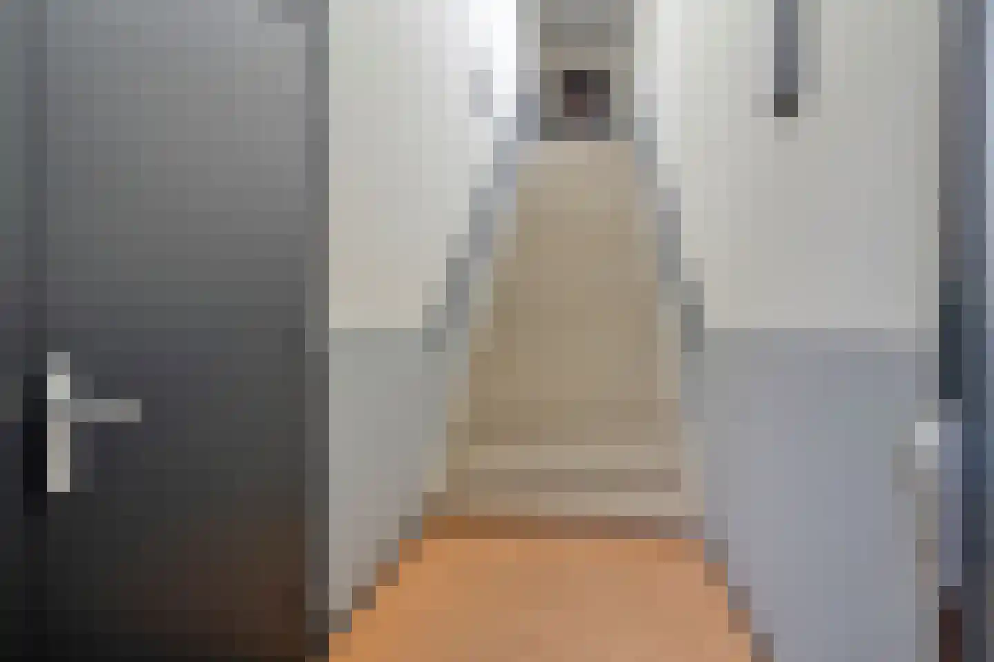 Zandoogje 4 Nijkerk thumbnail 18