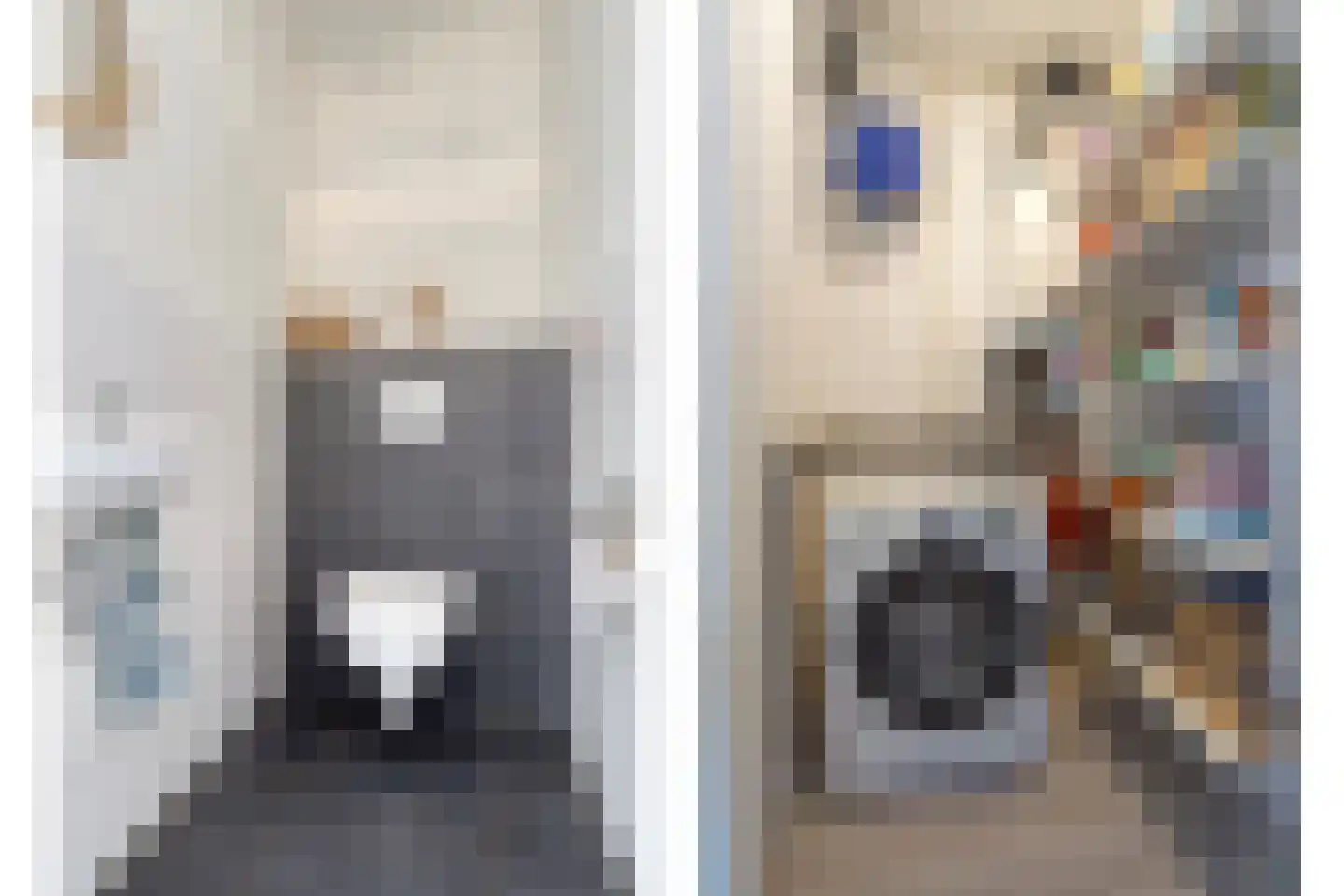 Zandoogje 4 Nijkerk thumbnail 18