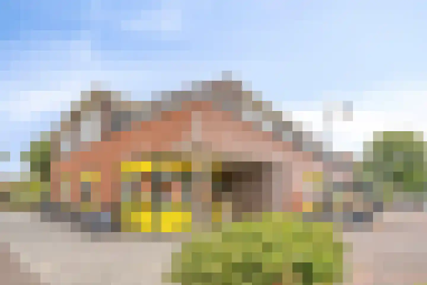 Zandoogje 4 Nijkerk thumbnail 22