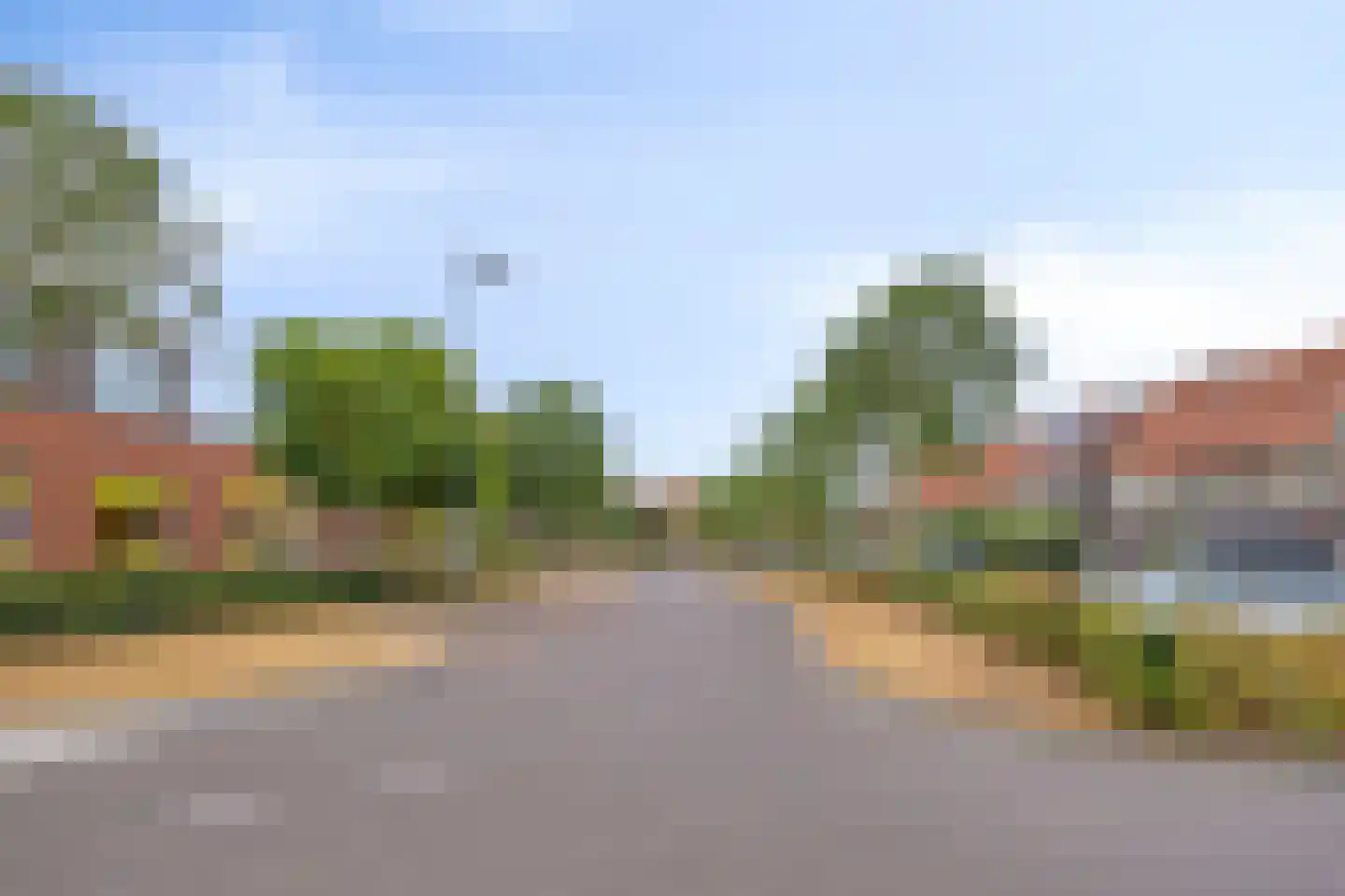 Zandoogje 4 Nijkerk thumbnail 23