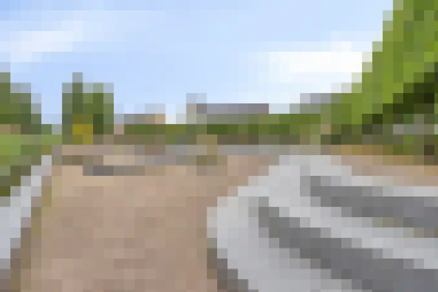 Zandoogje 4 Nijkerk thumbnail 25