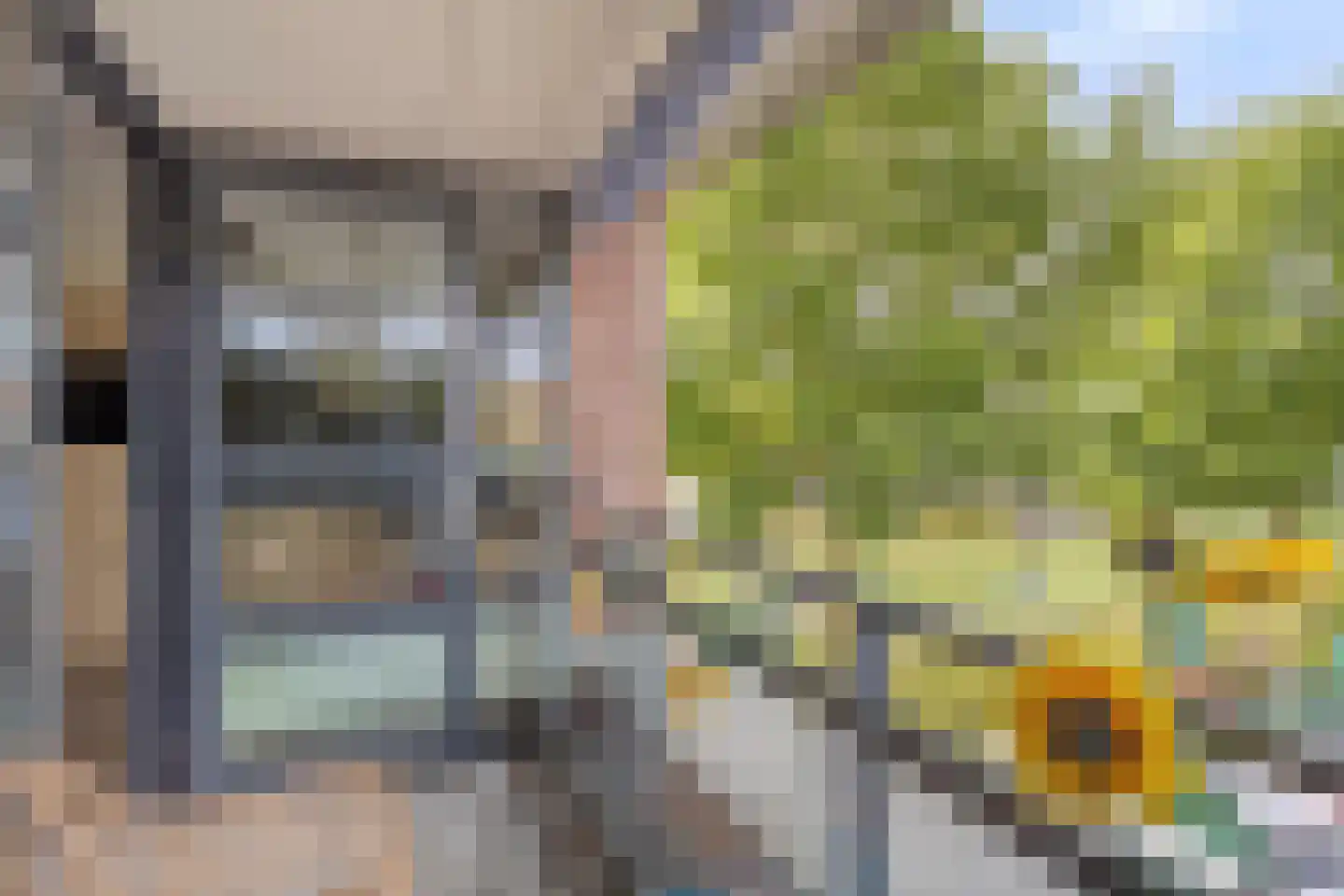 Zandoogje 4 Nijkerk thumbnail 7