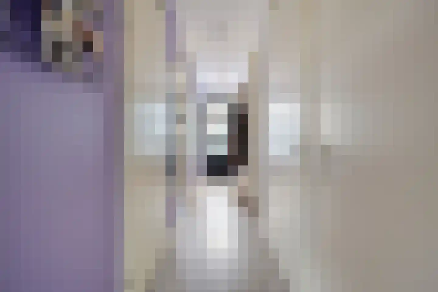 Zandoogje 4 Nijkerk thumbnail 8