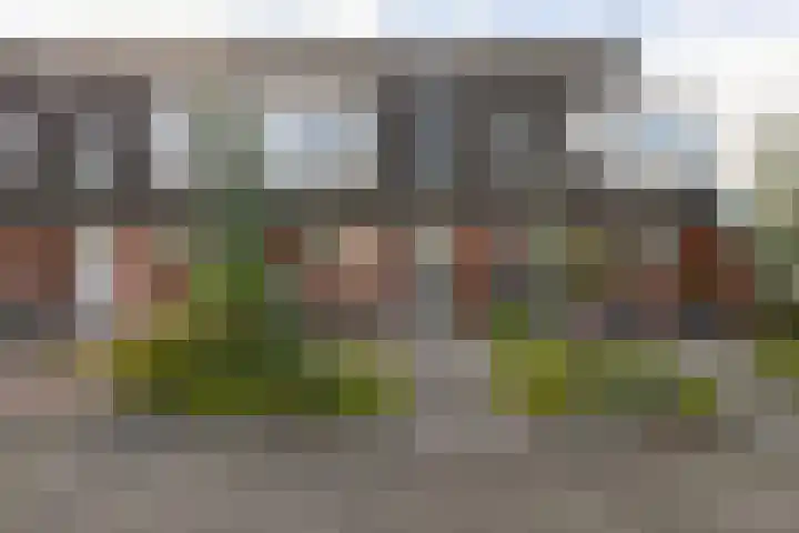 Zandoogje 4 Sneek