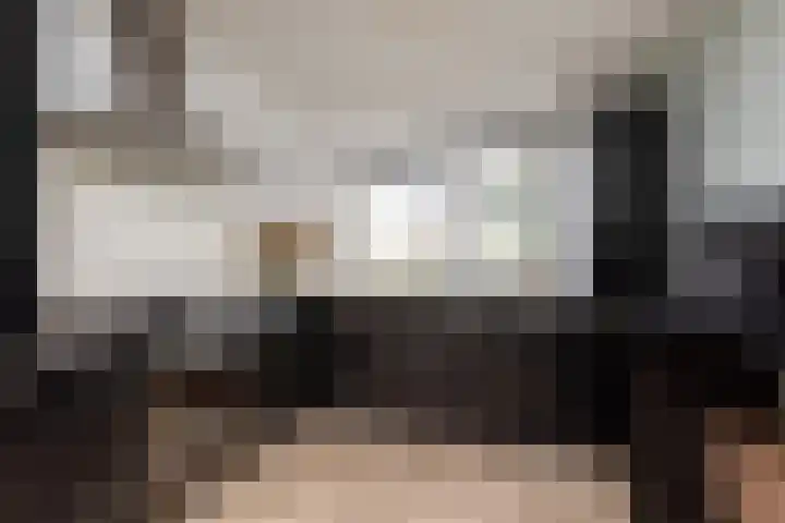 Zandoogje 4 Sneek thumbnail 10
