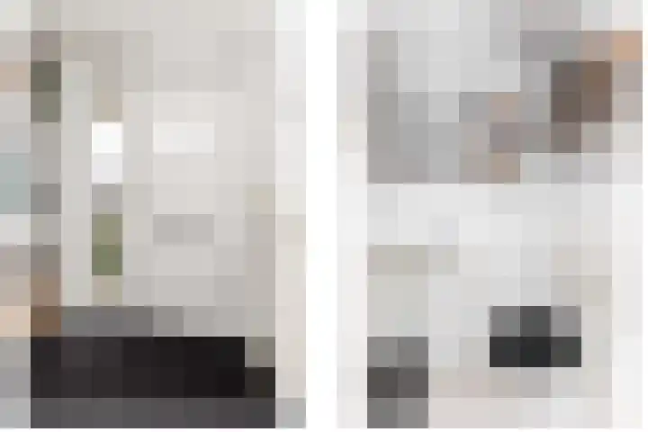 Zandoogje 4 Sneek thumbnail 13