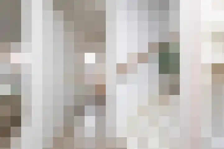 Zandoogje 4 Sneek thumbnail 14