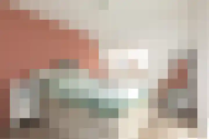 Zandoogje 4 Sneek thumbnail 17