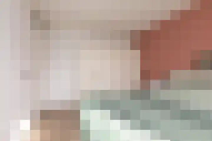 Zandoogje 4 Sneek thumbnail 18