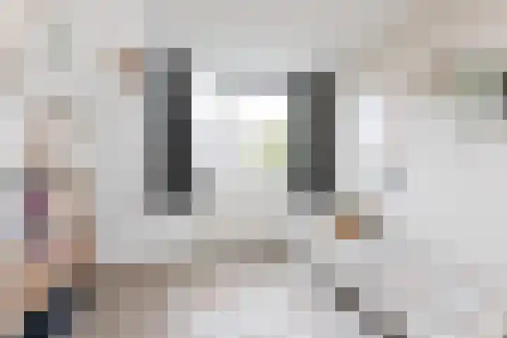 Zandoogje 4 Sneek thumbnail 19