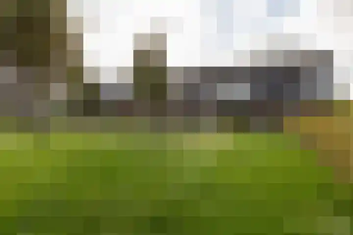 Zandoogje 4 Sneek foto 2