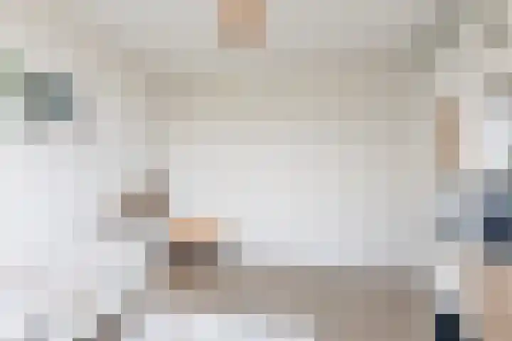 Zandoogje 4 Sneek thumbnail 20