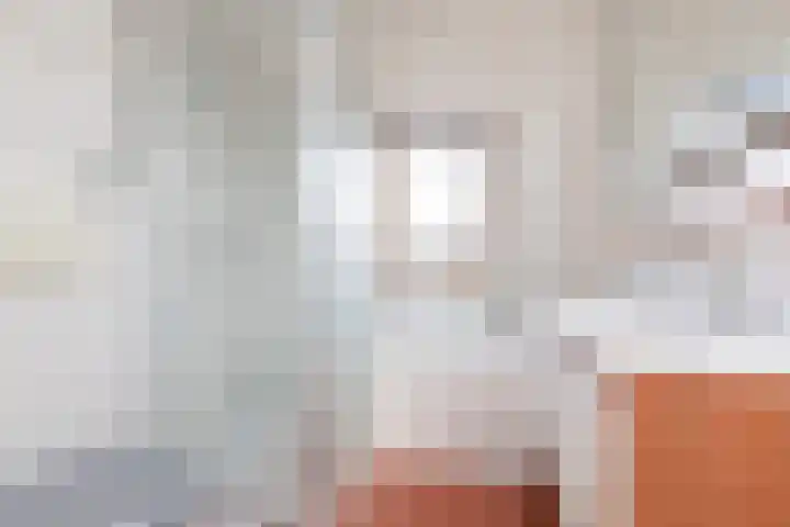 Zandoogje 4 Sneek thumbnail 21