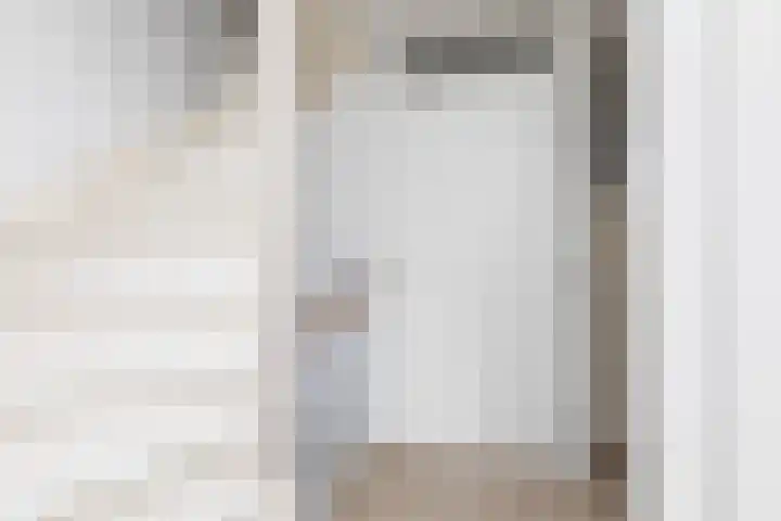 Zandoogje 4 Sneek thumbnail 24
