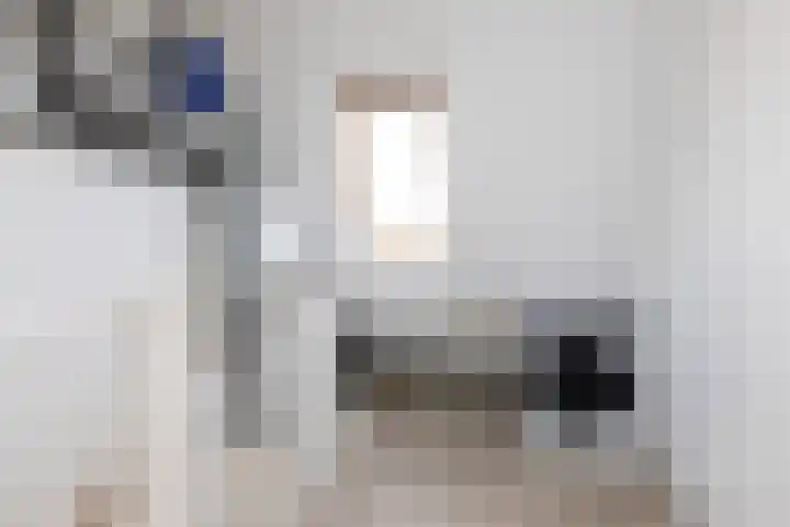 Zandoogje 4 Sneek thumbnail 25
