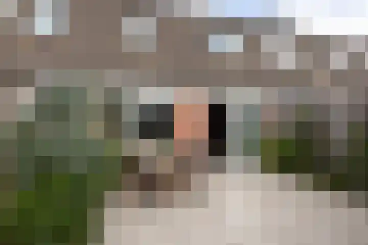 Zandoogje 4 Sneek thumbnail 27