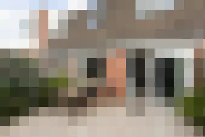 Zandoogje 4 Sneek thumbnail 28