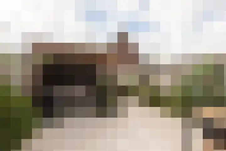 Zandoogje 4 Sneek thumbnail 29