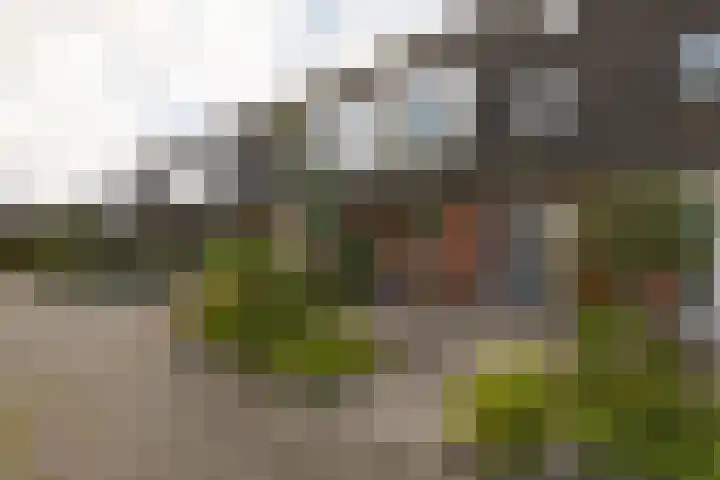 Zandoogje 4 Sneek thumbnail 34