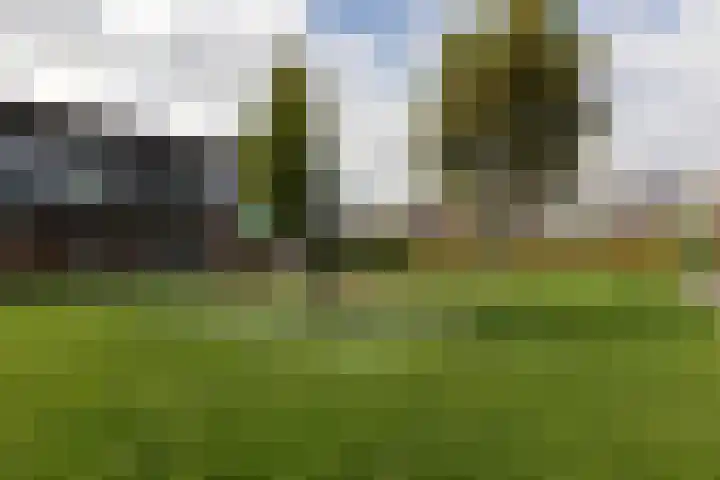 Zandoogje 4 Sneek thumbnail 35