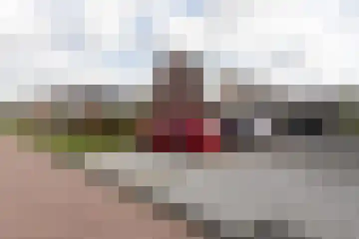 Zandoogje 4 Sneek thumbnail 37