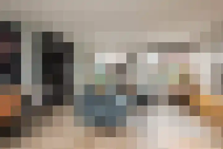 Zandoogje 4 Sneek thumbnail 4