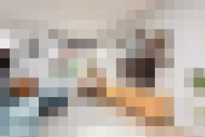 Zandoogje 4 Sneek thumbnail 5