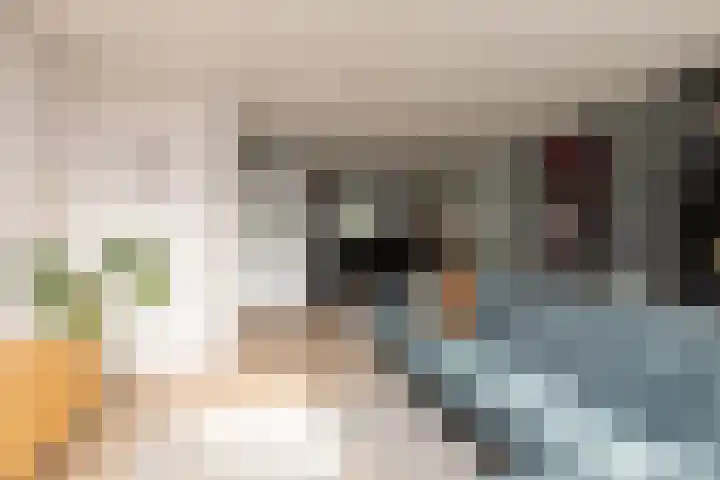 Zandoogje 4 Sneek thumbnail 6