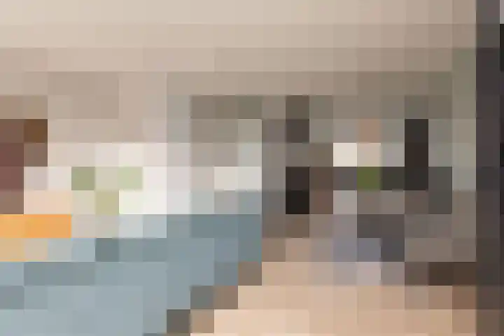 Zandoogje 4 Sneek thumbnail 7