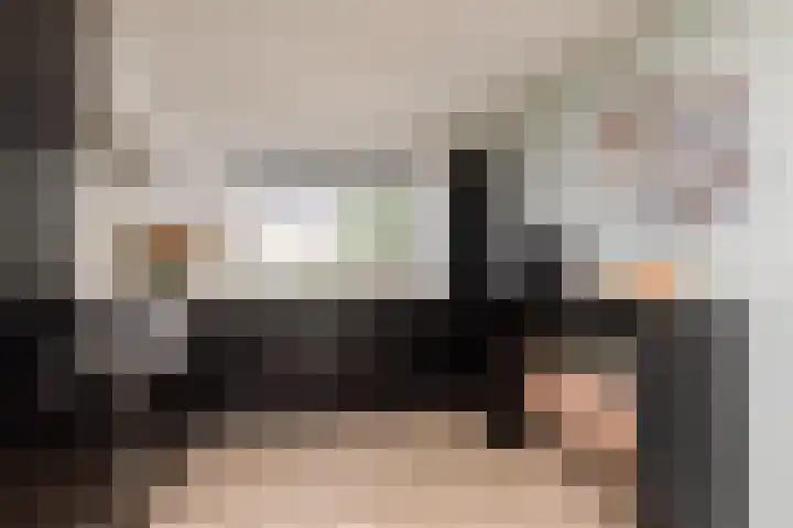 Zandoogje 4 Sneek thumbnail 9
