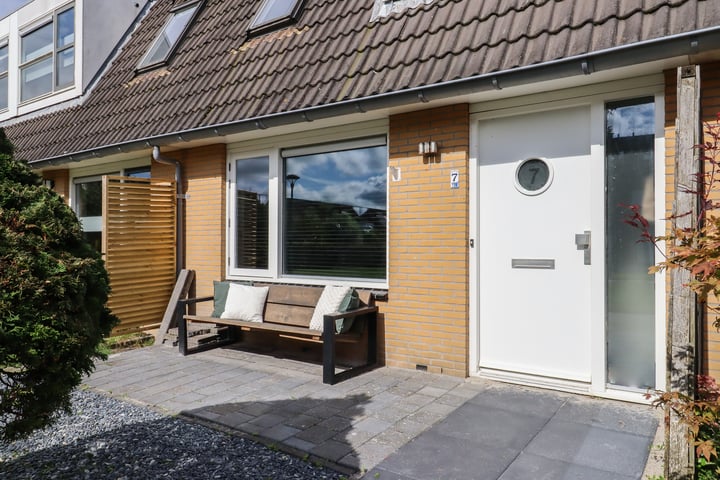 Zandoogje 7 in Sneek photo