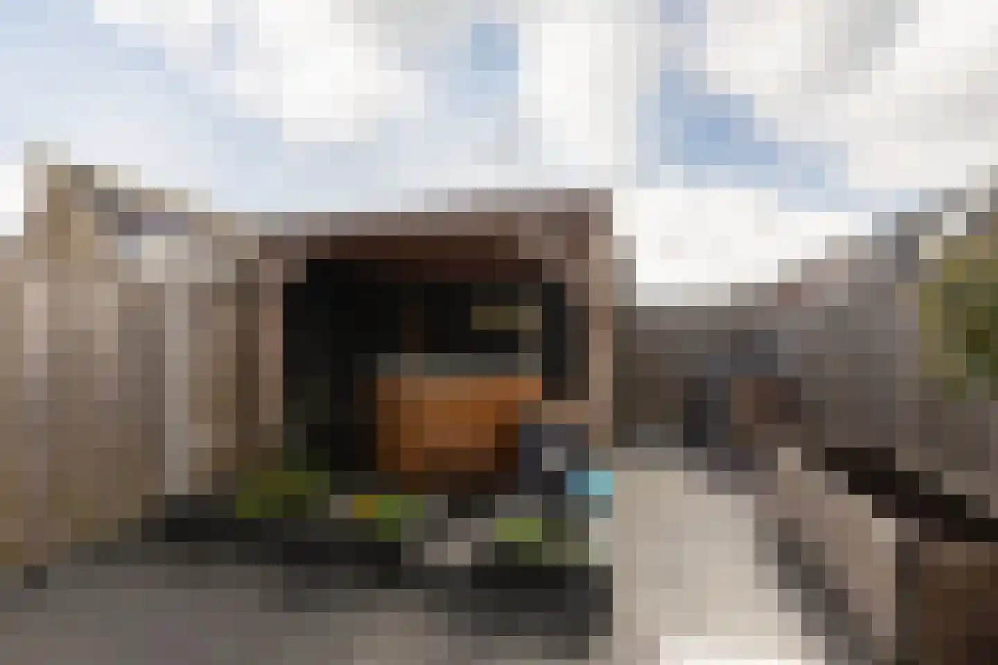 Zandoogje 8 Sneek thumbnail 11