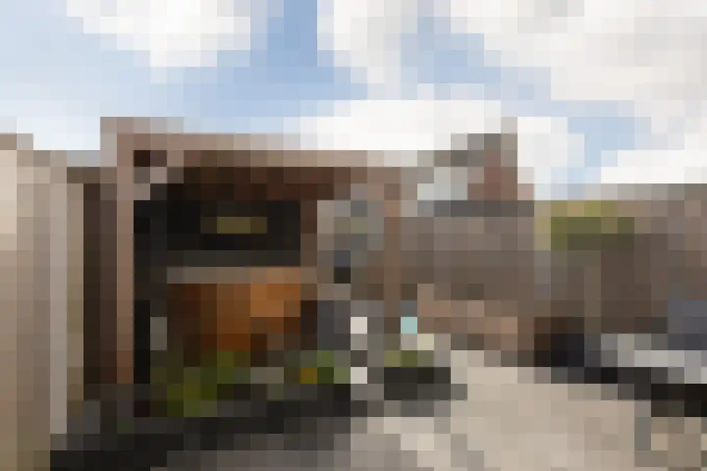 Zandoogje 8 Sneek thumbnail 12