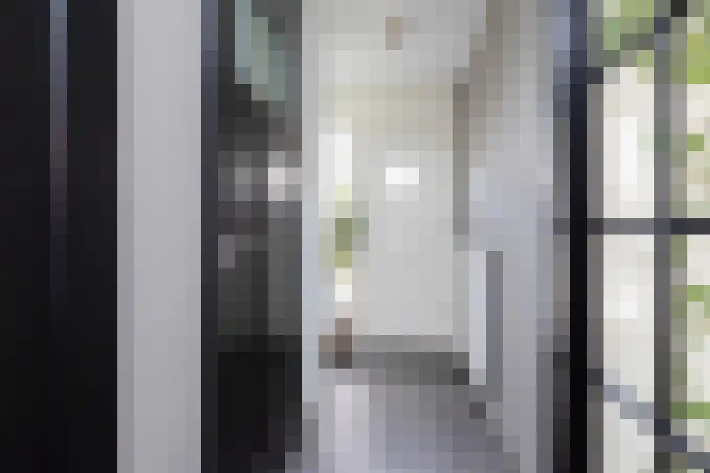 Zandoogje 8 Sneek thumbnail 13