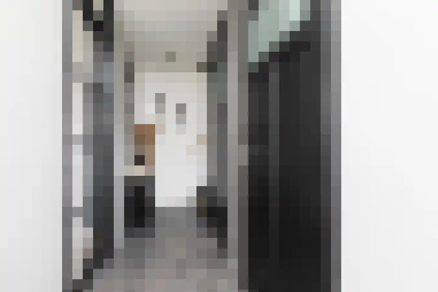 Zandoogje 8 Sneek thumbnail 14
