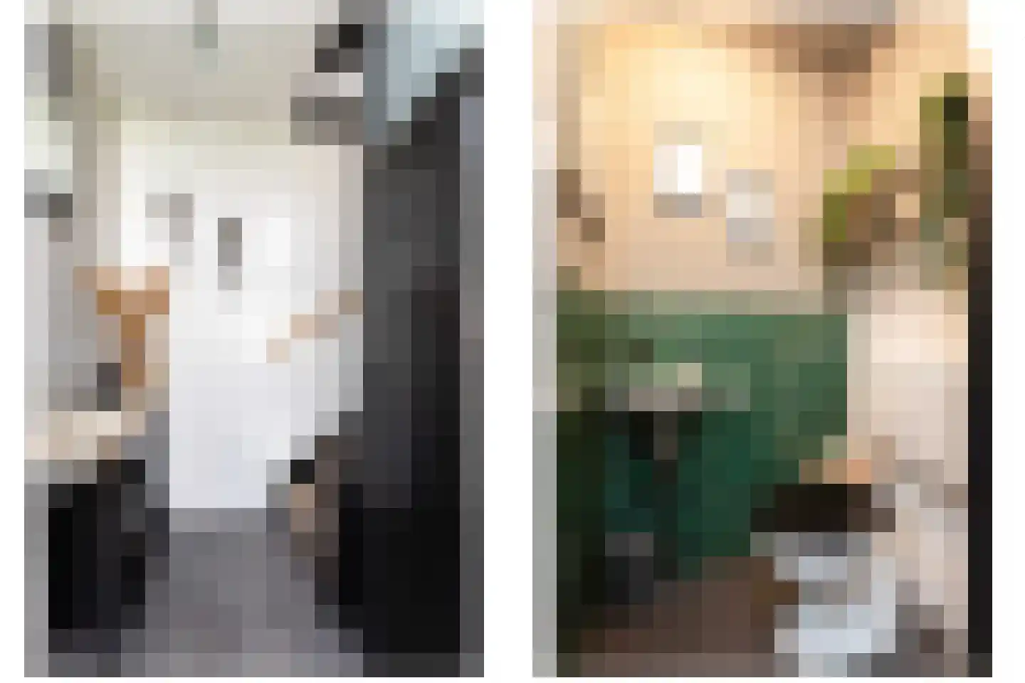 Zandoogje 8 Sneek thumbnail 15
