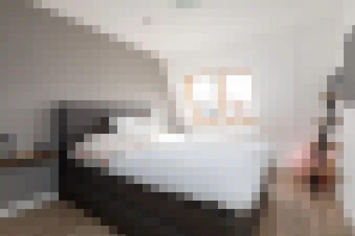 Zandoogje 8 Sneek thumbnail 16