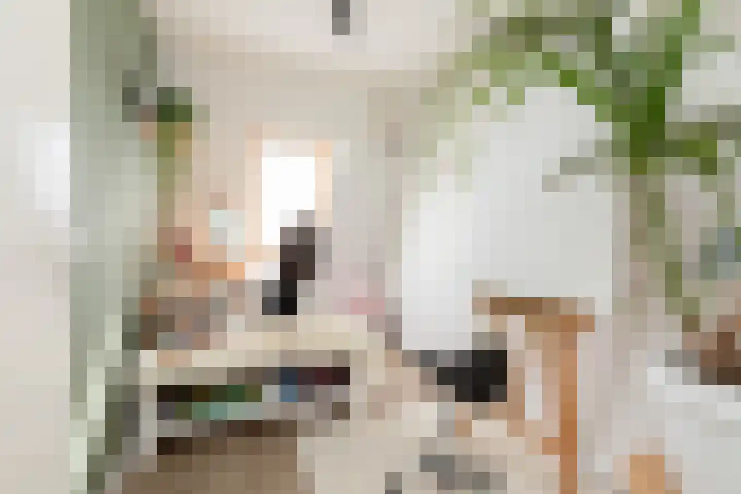 Zandoogje 8 Sneek thumbnail 18