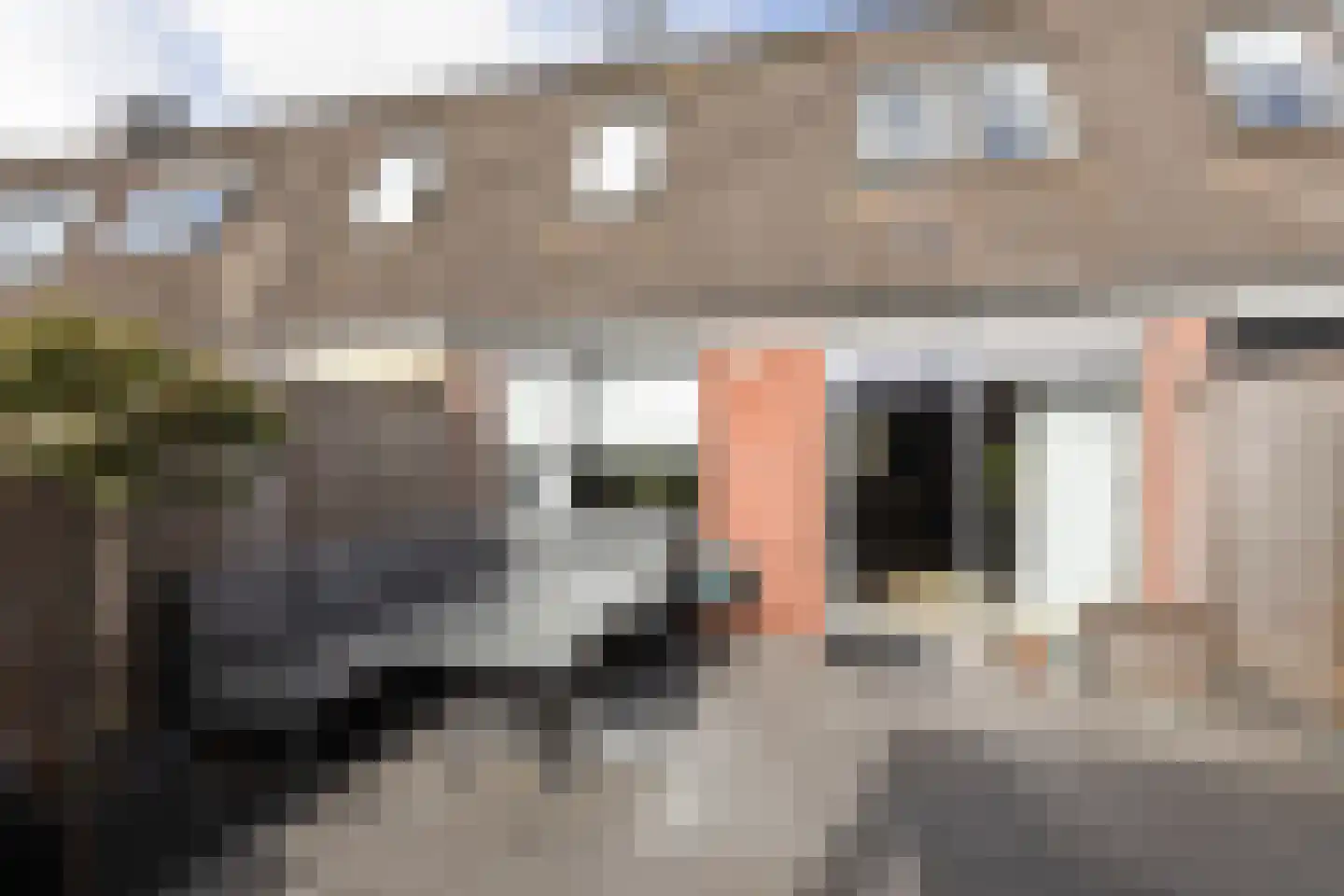 Zandoogje 8 Sneek foto 2