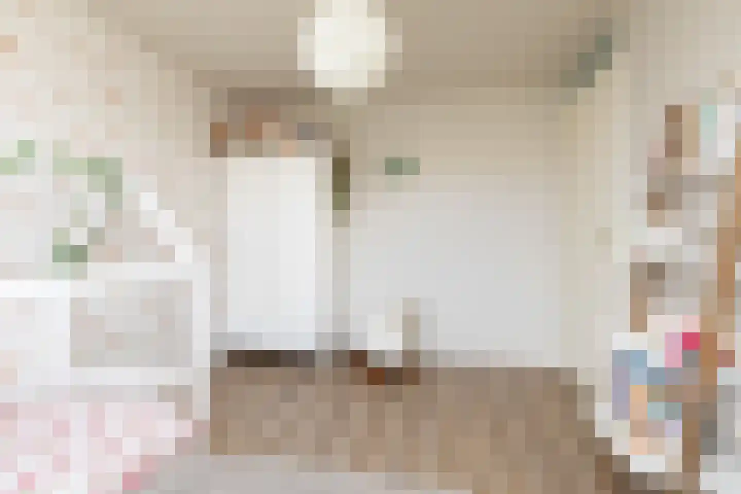 Zandoogje 8 Sneek thumbnail 20