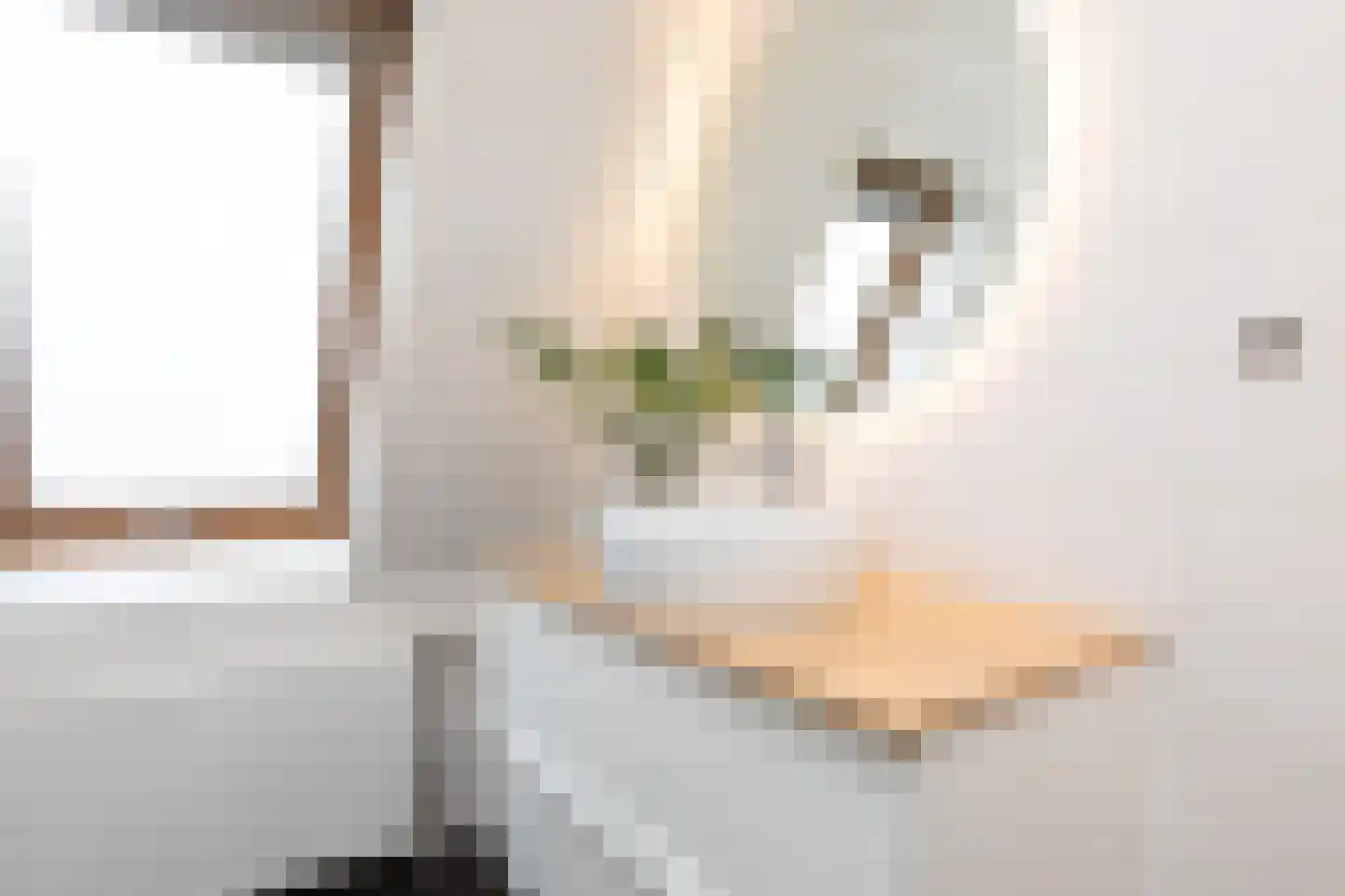 Zandoogje 8 Sneek thumbnail 22