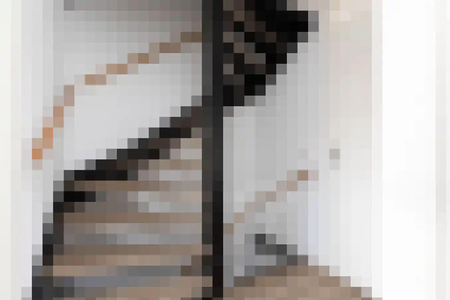 Zandoogje 8 Sneek thumbnail 25