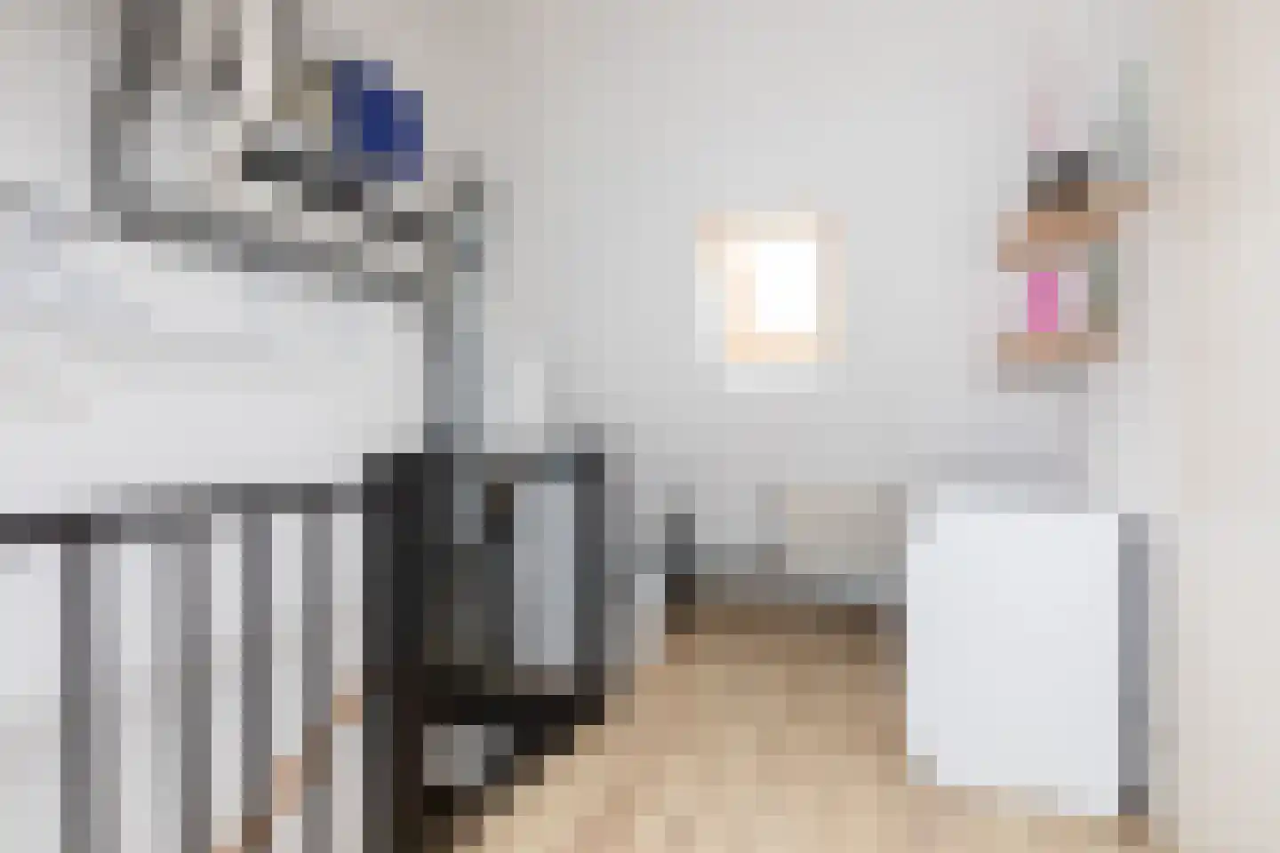 Zandoogje 8 Sneek thumbnail 26
