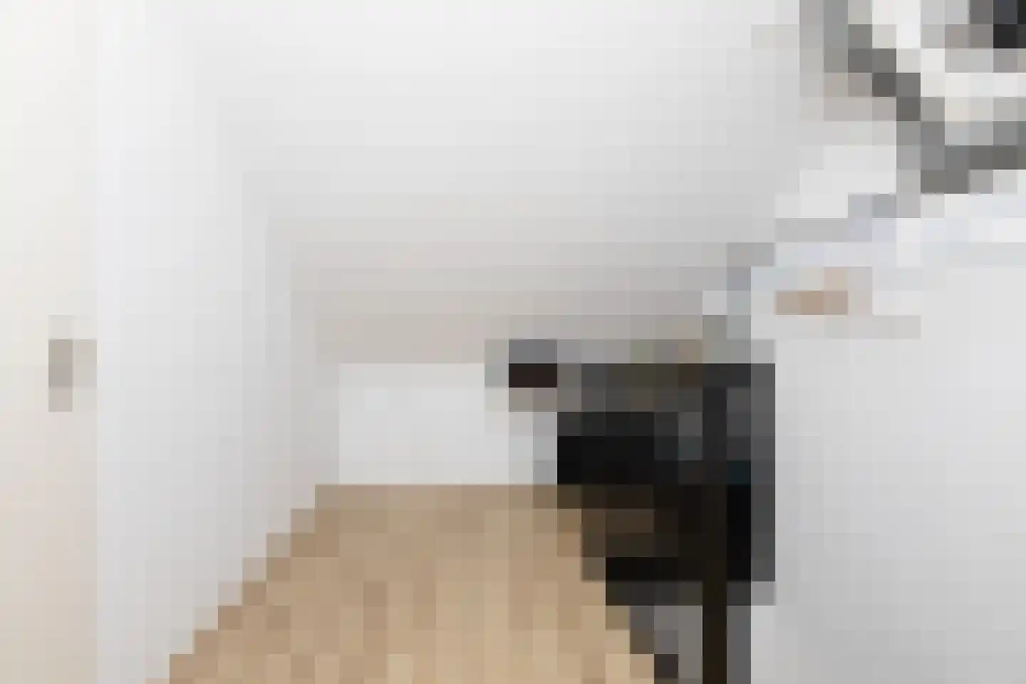 Zandoogje 8 Sneek thumbnail 27