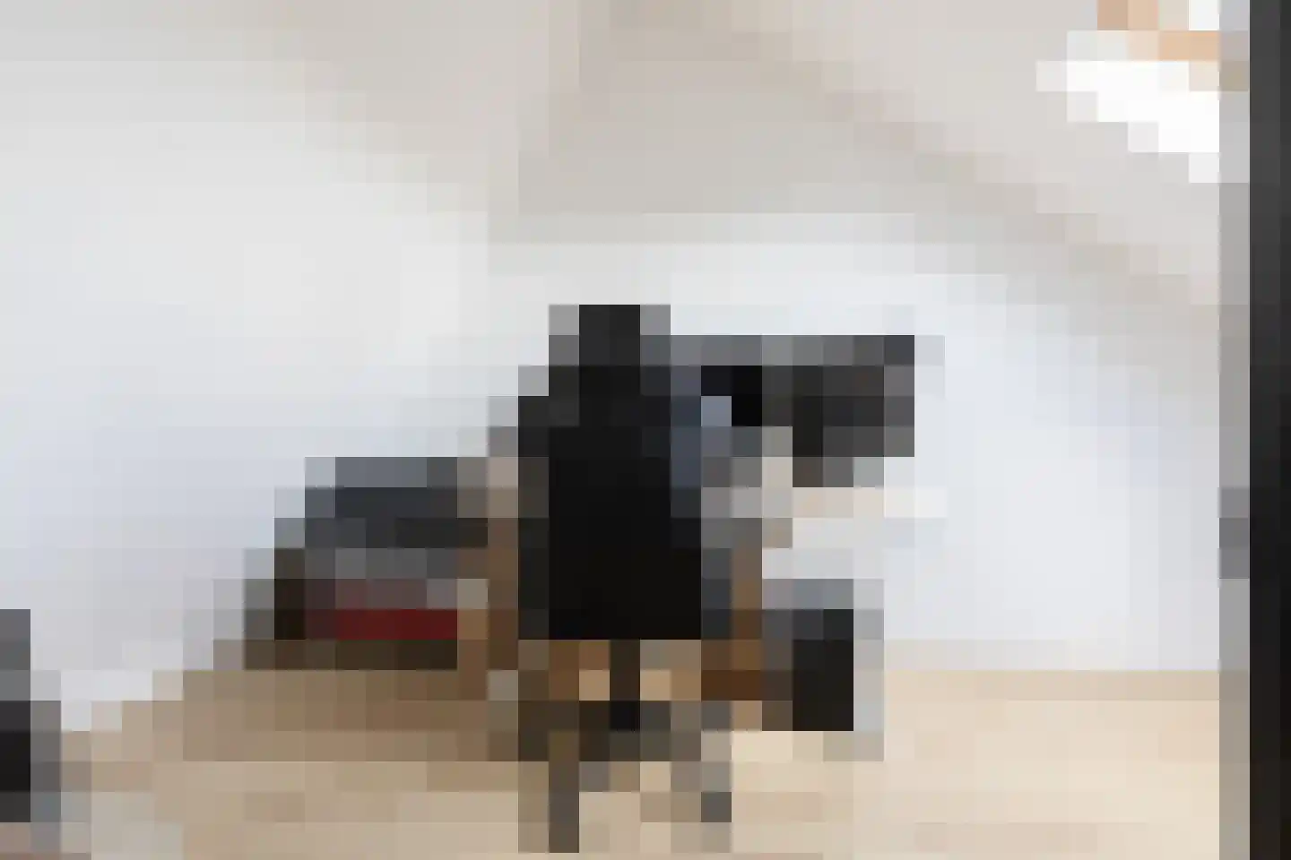 Zandoogje 8 Sneek thumbnail 28
